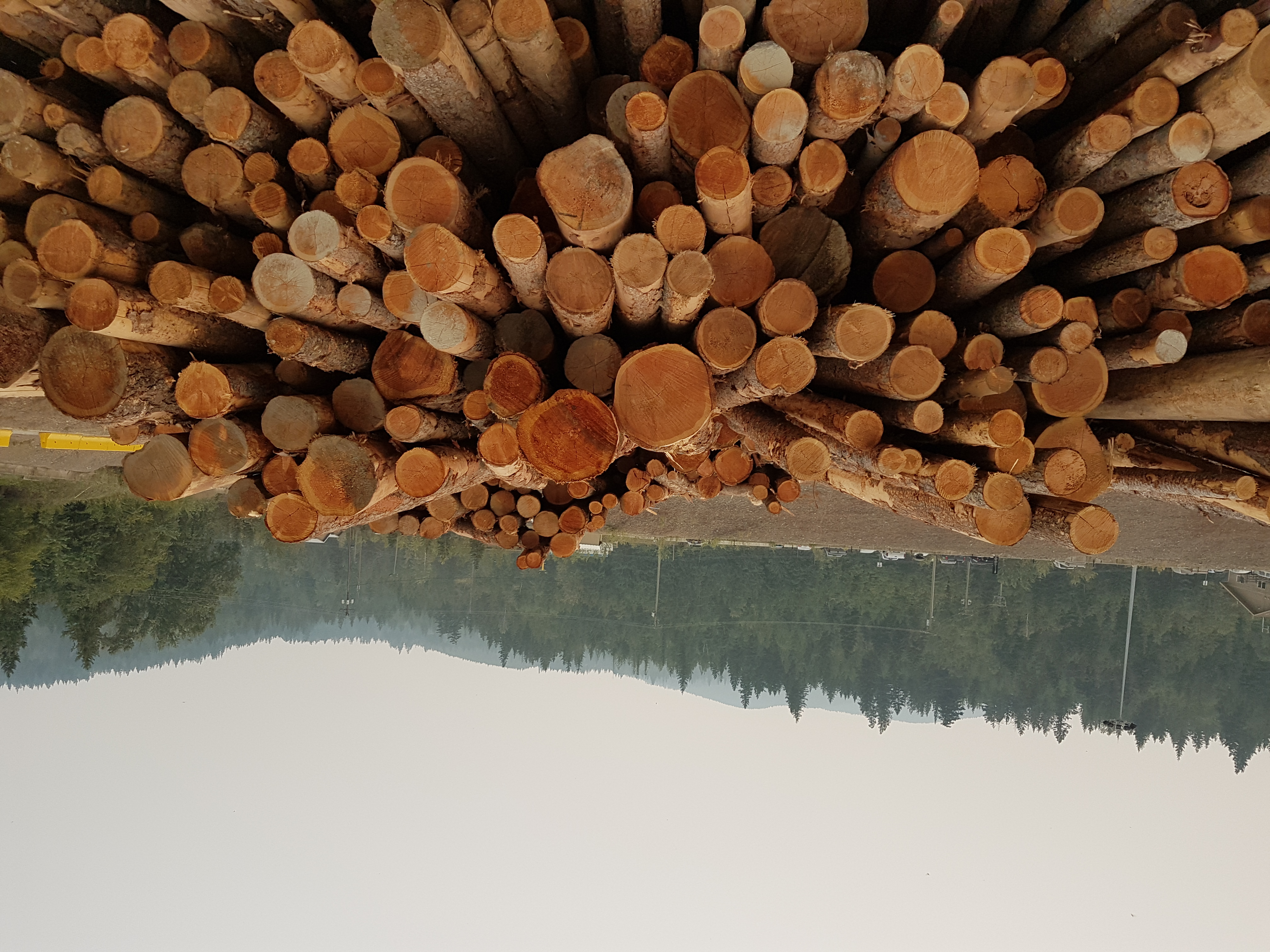 Log ends